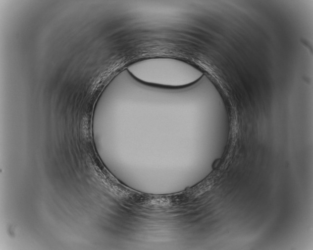 X0000101120353200806261050