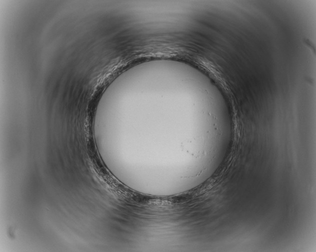 X0000101120354200806261050