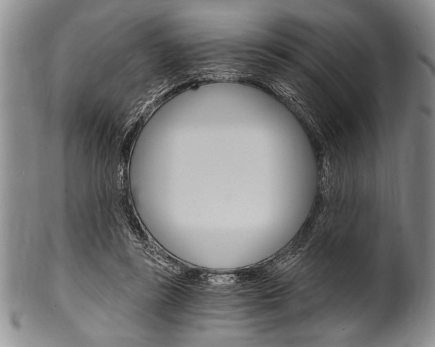 X0000101120355200806261050