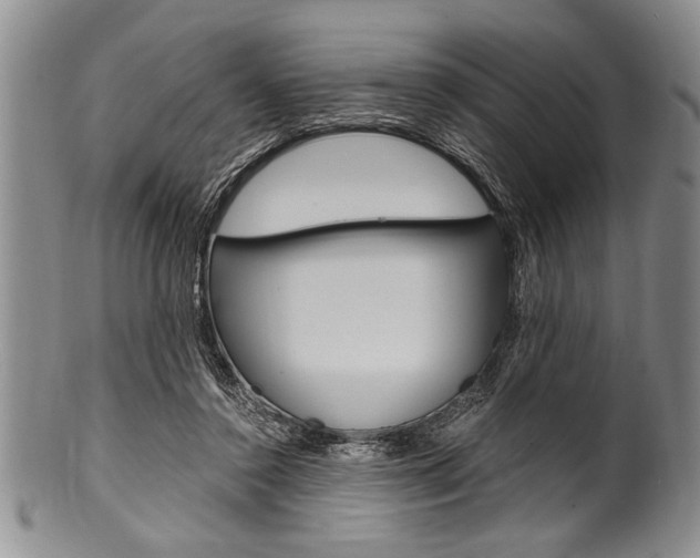 X0000101120356200806261050