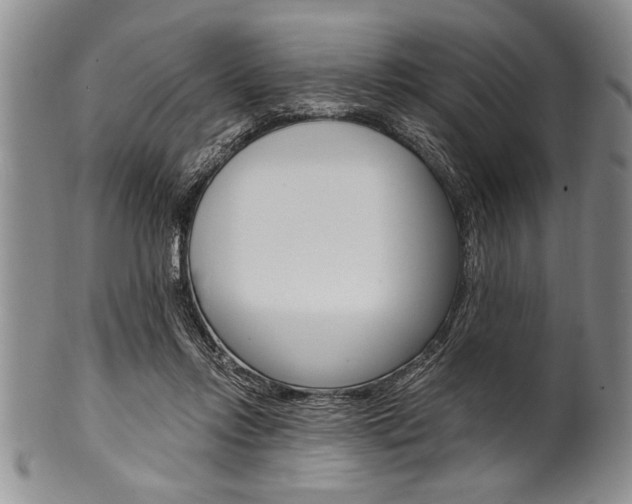 X0000101120358200806261050
