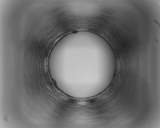X0000101120360200806261050