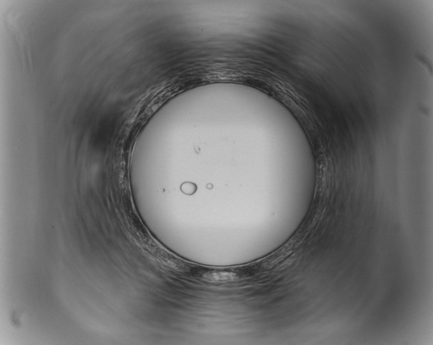 X0000101120361200806261050