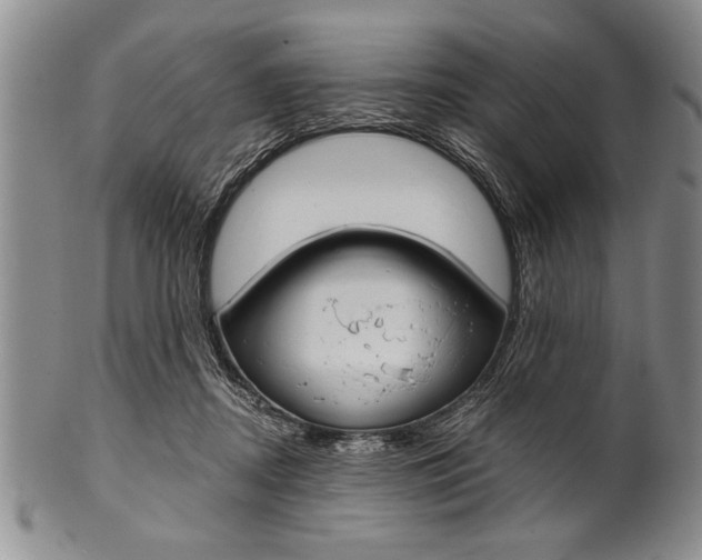 X0000101120362200806261050
