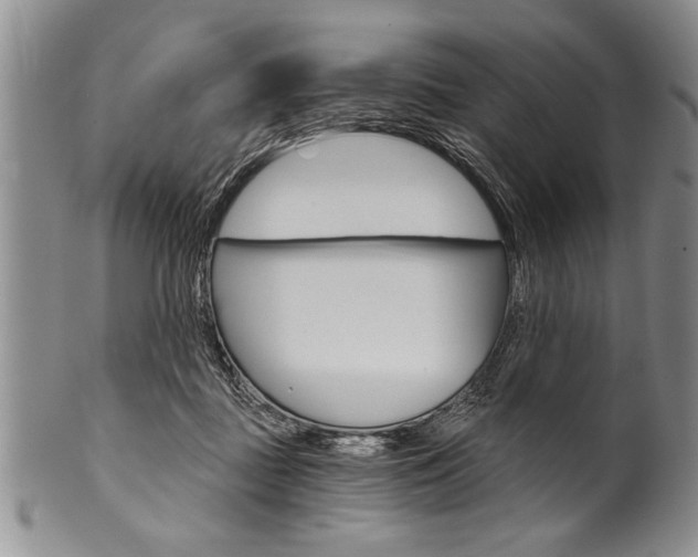 X0000101120363200806261050