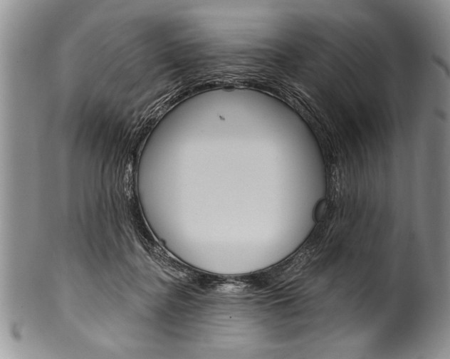 X0000101120364200806261051