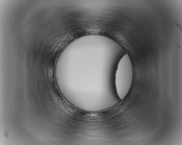 X0000101120365200806261051