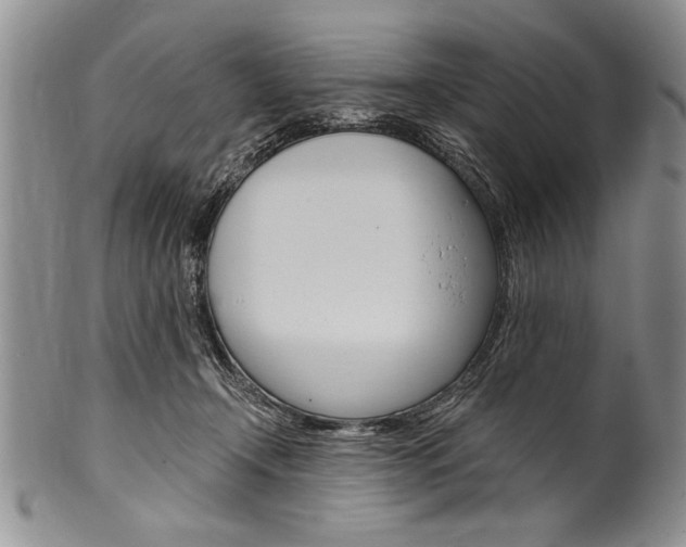 X0000101120366200806261051