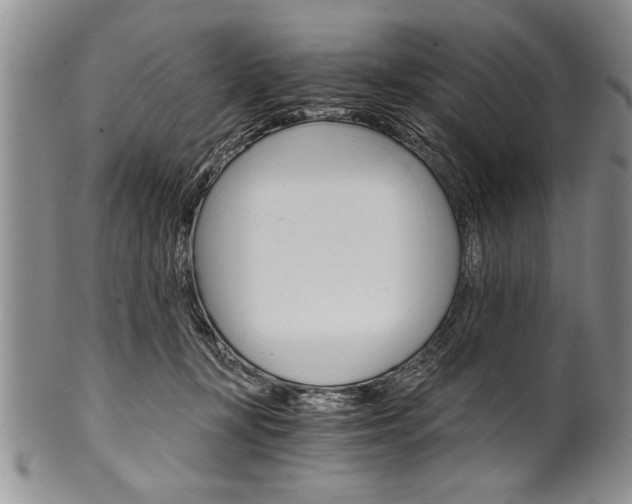 X0000101120367200806261051