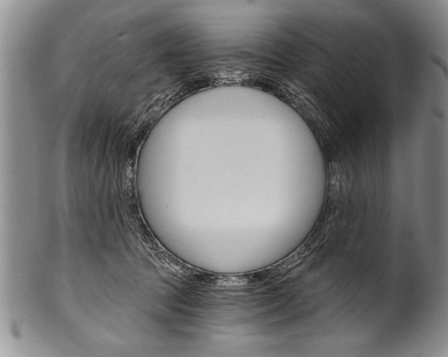 X0000101120369200806261051
