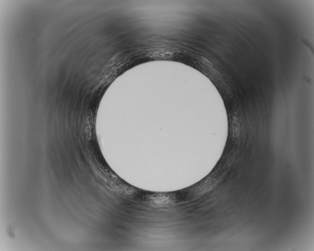 X0000101120370200806261051