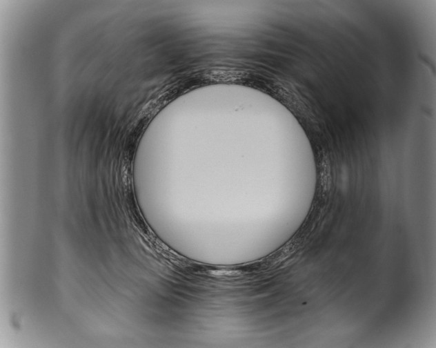 X0000101120371200806261051