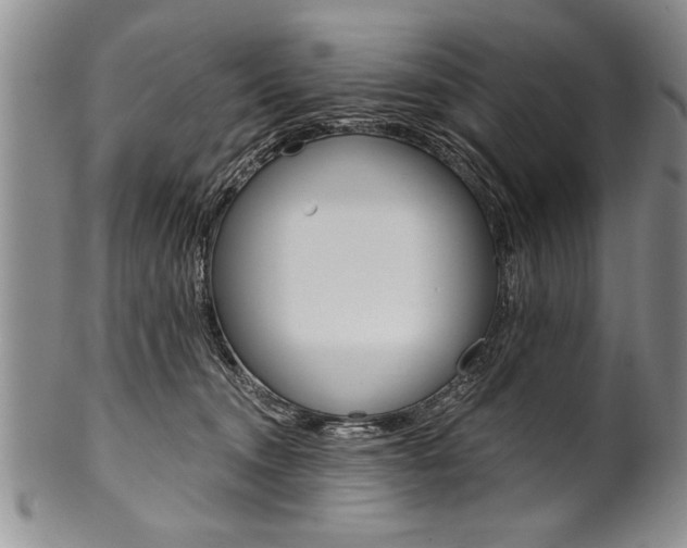 X0000101120372200806261051