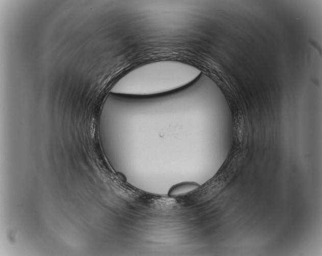 X0000101120374200806261051