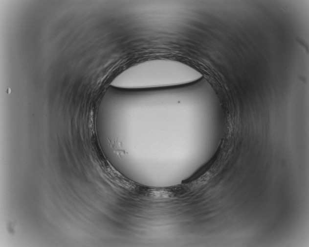 X0000101120376200806261051
