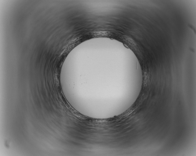 X0000101120377200806261051