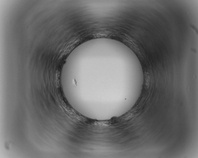 X0000101120378200806261051