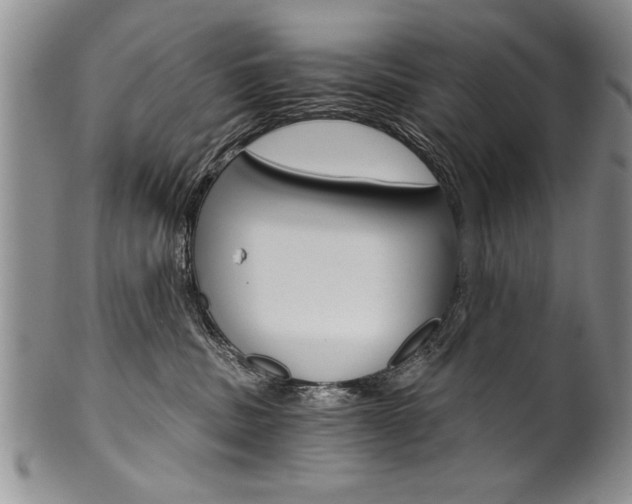 X0000101120379200806261051