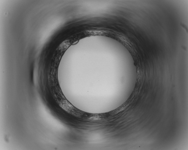 X0000101120381200806261051