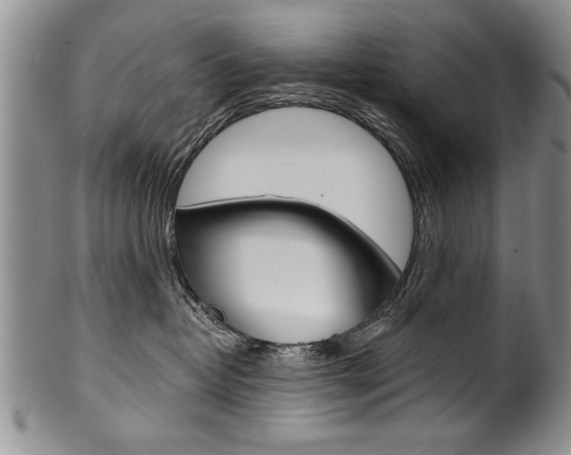 X0000101120382200806261051