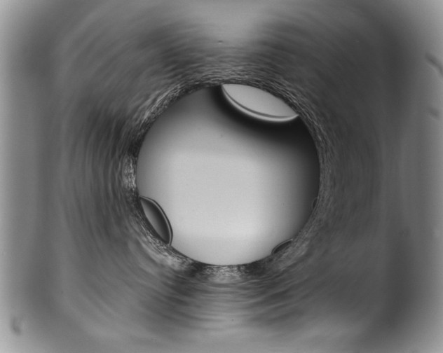 X0000101120384200806261051