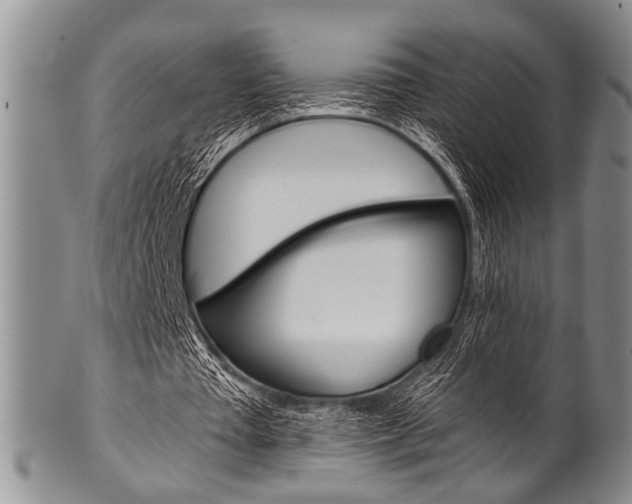 X0000101120385200806261050