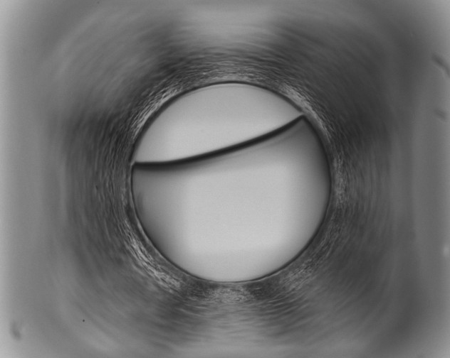 X0000101120386200806261050