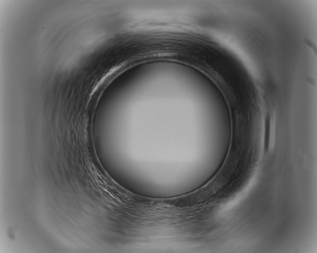 X0000101120387200806261050