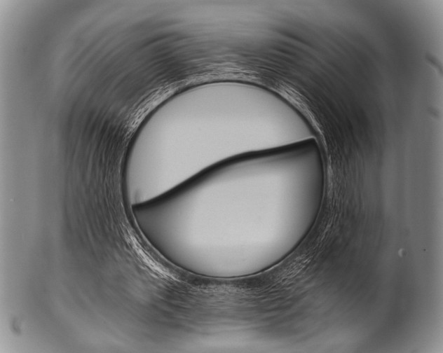 X0000101120389200806261050