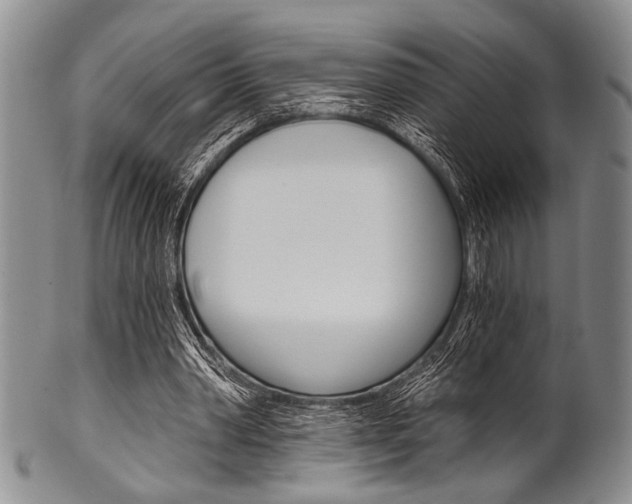 X0000101120390200806261050
