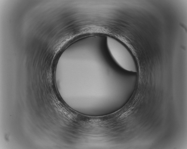 X0000101120391200806261050