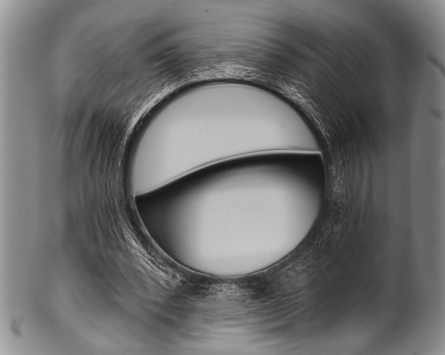 X0000101120392200806261050