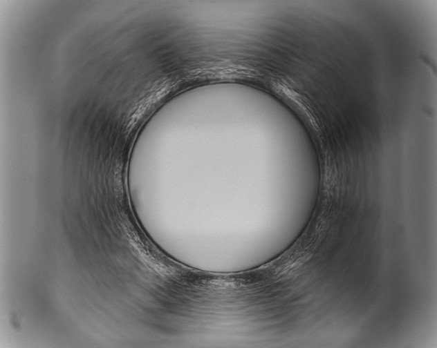 X0000101120394200806261050