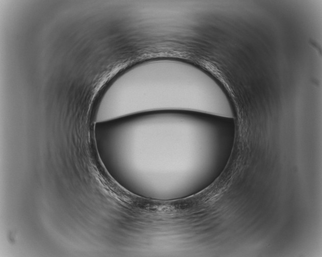 X0000101120395200806261050