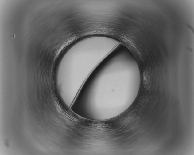 X0000101120396200806261050