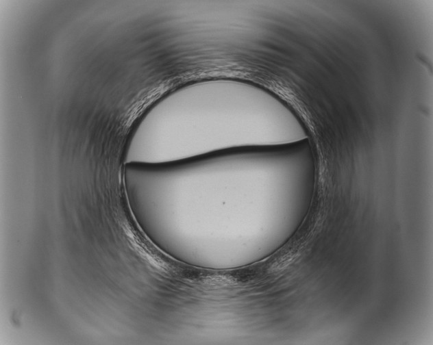 X0000101120397200806261050