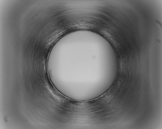 X0000101120398200806261050