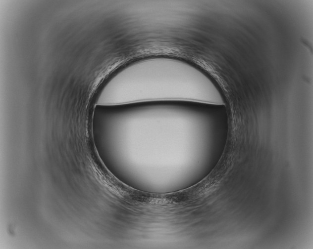 X0000101120399200806261050