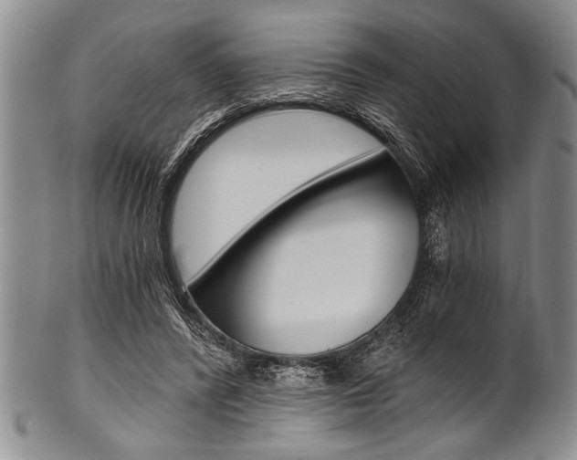 X0000101120400200806261050