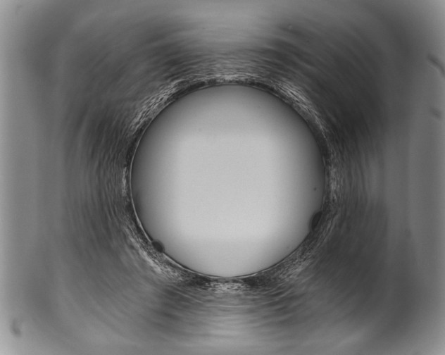 X0000101120401200806261050
