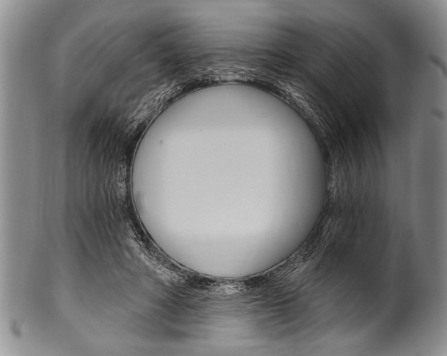 X0000101120402200806261050