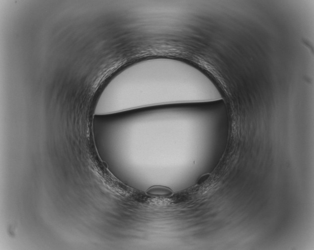 X0000101120403200806261050