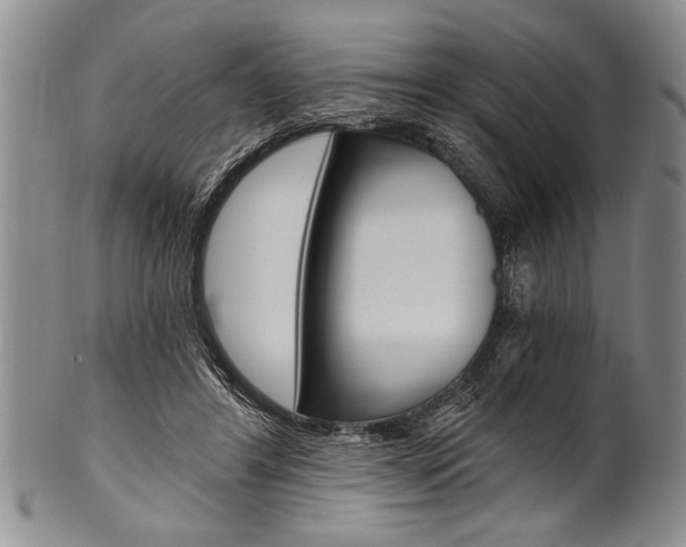 X0000101120404200806261050