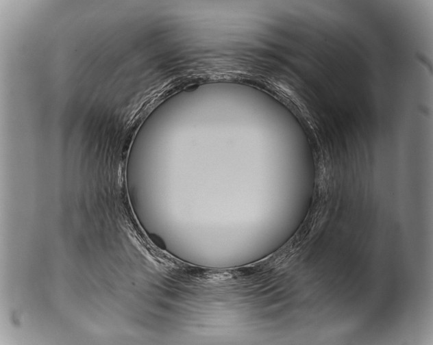 X0000101120405200806261050
