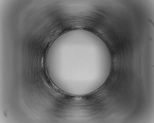 X0000101120406200806261050