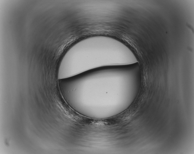 X0000101120407200806261050