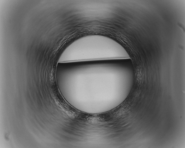 X0000101120408200806261050