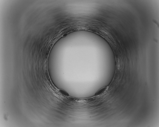 X0000101120409200806261050