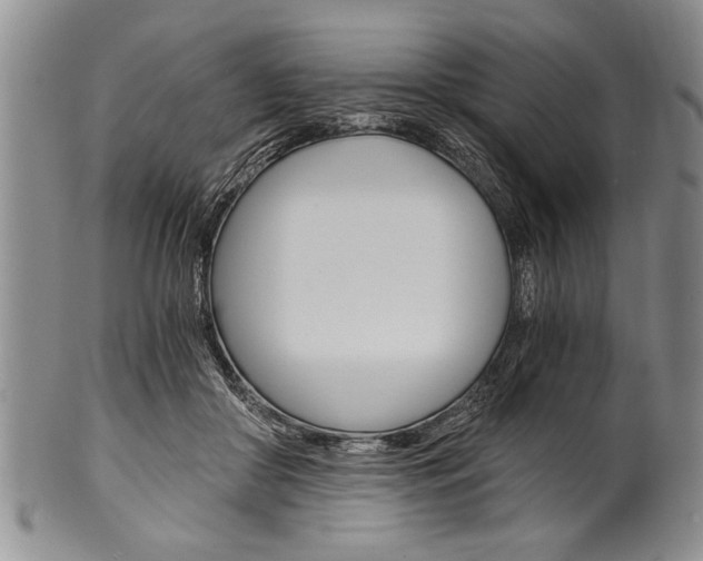 X0000101120410200806261050
