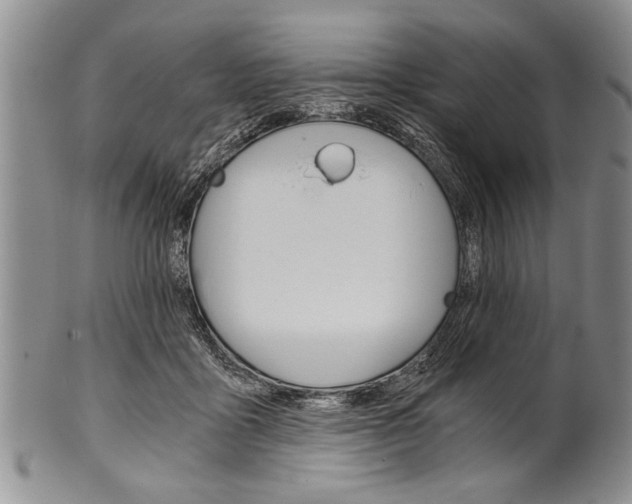 X0000101120411200806261050
